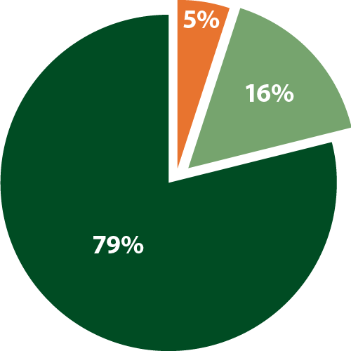 CJPIA Member Type - Pie Chart